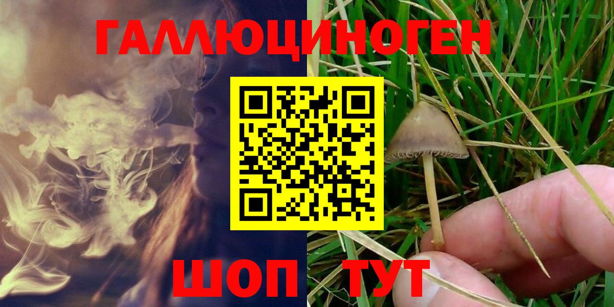 Иваново  Псилоцибиновые грибы Psilocybe  Вход с VPN 